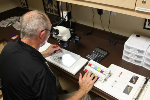 man looking at mosquitos under microscope